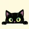 @adriansnyder2aff