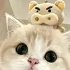 @7517200516331881527