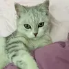 @7525015898042811406