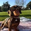 @7525361247749047310