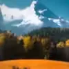 @lintoftyv8z