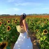 @7532390588630385678