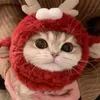 @7537162919583892494