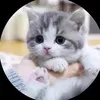 @7540612762719192119