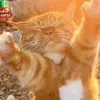 @7549191597460636686