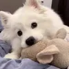 @7553933280967656462