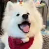 @hbojbswavqb