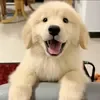 @dkokxiqqsgq