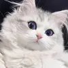 @ymdpgifq8aw