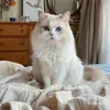 @xutyhhfnluc