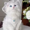 @zxahjiwwsh7