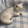 @7561697405944792078