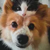 @charlie_lab8