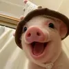 @7580264845544244279