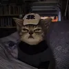 @happy.pet65
