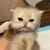 @7587006265323570190