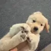 @7587668353776043039
