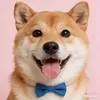 @7597659525177803831