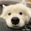 @user7672633408409