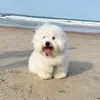 @ncw4zp9qjjrygaz