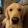 @7613994184718435342