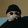 @xbus2603086710