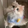 @alijjhg2