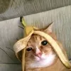 @7623337932153390094