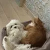 @jelly_beans7