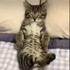 @7629312372163740686