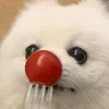 @7634064963228992525