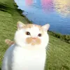@7640076069195154446