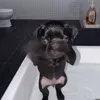 @7643740449953661983