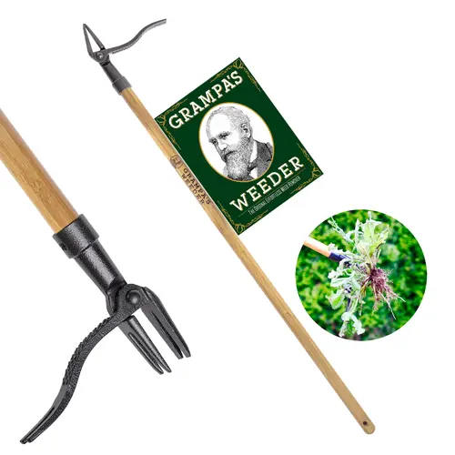 Grampa's Weeder - Original Stand-Up Durable Gardening Tool with Long Bamboo Handle, 4-Claw Steel Head - Plant Removal Hoes & Rakes for No-Bend, No-Pull, No-Kneel Weed Removal, Durable Gardening Tools