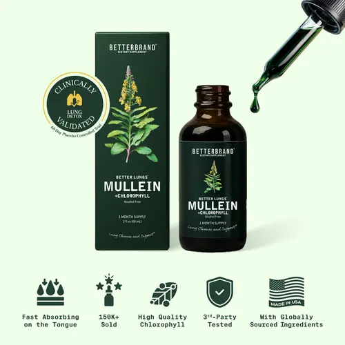 Betterbrand Mullein Leaf & Chlorophyll Drops for Lung Detox & Mucus Cleanse - 30 Servings - Clinically Studied Natural Liquid Herbal Supplement for Respiratory Wellness