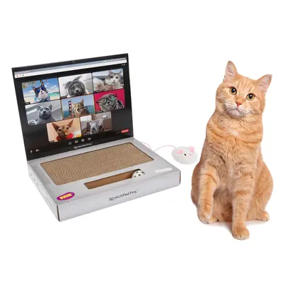 ScratchPad Pro  Cardboard Laptop Cat Scratcher | Funny & Functional Cat Toy for Indoor Cats