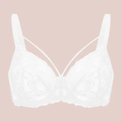 HSIA Pretty In Petals Strappy Floral Lace Unlined Plus Size Underwire Bra