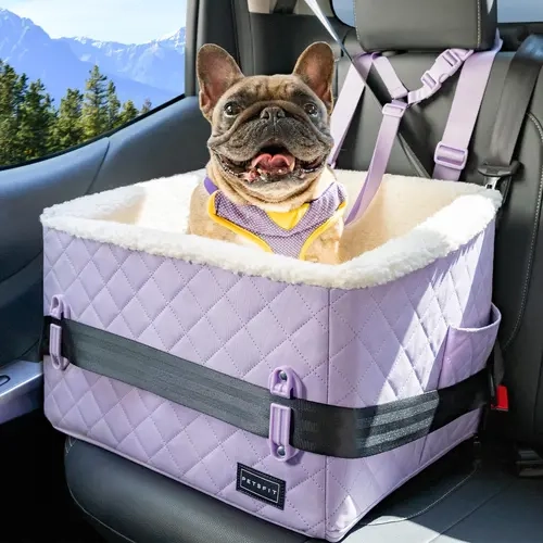 PETSFIT All-Seasons Soft Foam Dog & Cat Booster Car Seat - Easy-to-Wipe Oxford Fabric, Patented Safety Buckles, 2 Storage Pockets, Detachable Clip-On Safety Leash for Small Pets Under 30 LBS, Elevation Boost