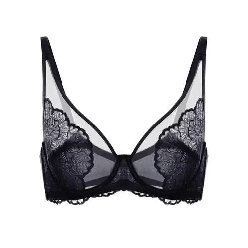 HSIA Blossom Floral Soft Lace Unlined Sheer Mesh Full Coverage Plus Size Non-Padded Underwire Bra Womenswear