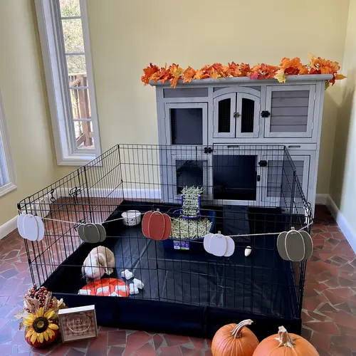 Aivituvin-AIR71 Small Metal Pet Playpen with Floor & Pad - Puppy Cage, Bunny Enclosure, Guinea Pigs Habitat, Dog Crate, Puppy Playpen, Metal Frame, Waterproof,sohochic