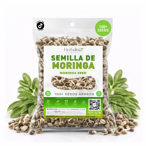 Herbalista Plantable PKM1 Moringa Oleifera Seeds - 1oz (28g) Approx. 100+ Seeds, Premium Variety, Roast & Snack, Non-GMO, Wildcrafted Drumstick Tree (Malunggay) Semillas