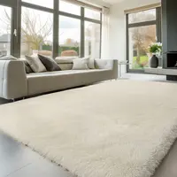 FAMVAL Large Fluffy Rug for Bedroom and Living Room, Long Plush Soft Area Rug with Non-Slip Backing, Modern Cozy Rug for Dorm Apartment Kids Room summerwins