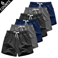 Men’s 6-Piece Quick Dry Activewear Gym Shorts - Above Knee, Lightweight, Breathable, Durable, Adjustable Elastic Drawstring Waistband, Deep Side Pockets, Loose Fit for Running, Training, Outdoor Use | Summer Comfort Menswear Bottoms