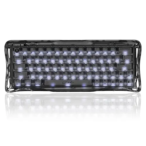 GravaStar Mercury V60 Onyx Crystal Mechanical Gaming Keyboard - Magnetic, 8000Hz Polling Rate, Hall Effect Switches, Rapid Trigger, 0.005mm Precision, Hot-Swappable, RGB Backlit, Wired, Gamer Stuff