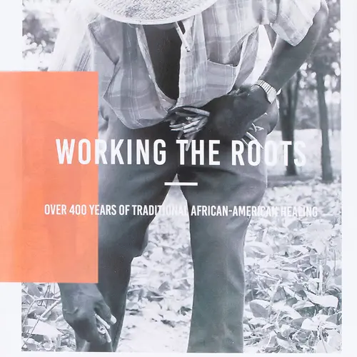 Working The Roots: Over 400 Years of Traditional African American Healing -- Michele Elizabeth Lee - Paperback