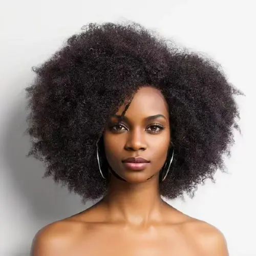 Imani 14-Inch Afro Kinky Curly Pre-Bleached Curly Human Hair Wig for Black Women, 250% Density 13x4x2 HD Lace Frontal with Natural Hairline, Affordable Wigs Human Hair for Daily Use,sohochic