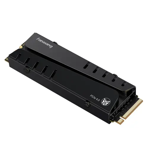 FANXIANG S770 500GB/1TB/2TB/4TB NVMe M.2 SSD for PS5 with Heatsink and DRAM, Up to 7300MB/s PCIe 4.0, Perfect for PlayStation 5 Expansion, Gamers, and IT Professionals