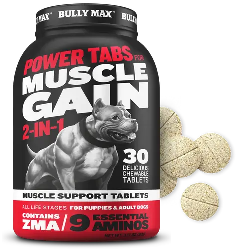 Bully Max 2-in-1 Chewable Dog Muscle Supplement Tablets - Dog Healthcare Vitamins with Fitness Support, Easily Digestible Protein, Amino Acids, Builds Strong Muscles, Strength Boost, 1 Bottle (60 Tabs) for All Sizes