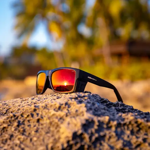 Bomber Eyewear Full Rim ANSI Z87+ Rated Photochromic Construction Sunglasses, Unisex Clutch Bomb Design with Removable Side Shields, Cam Hinges for Long Term Durability, Large Head Friendly, Glare-Cutting, Men's & Women's
