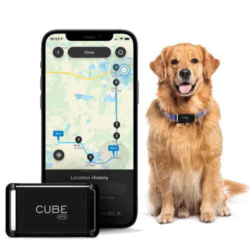 CUBE Smart GPS Tracker - Mini Wireless Positioning Tracker, Car-Share Ready, App-Based Vehicle Device with Route History, Speed Monitoring, Accident Alert, Geofencing, Theft Guarding, No Activation Fees, Cancel Anytime, Lithium-Ion (Li-Ion Cell) Battery
